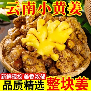 正宗云南小黄姜新鲜生姜嫩姜2025新货有机老姜祛湿驱寒官方旗舰店