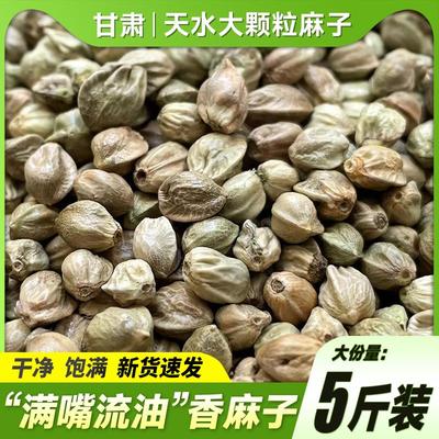 甘肃天水特产熟麻子包邮五香大