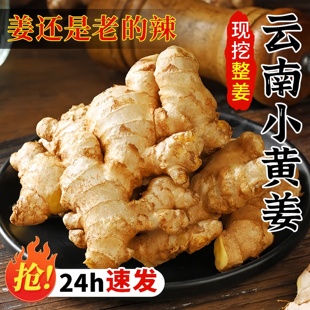 正宗云南小黄姜2025优质有机新鲜生姜罗平老姜批发姜粉官方旗舰店