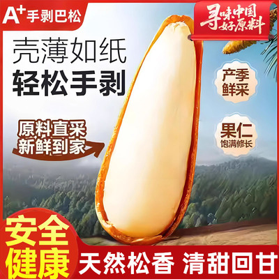 进口巴西特大手剥松子2025新货