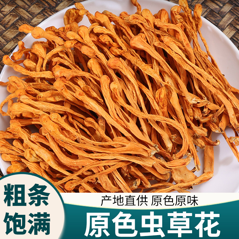 虫草花干货孢子头食用菌干货精选煲汤精品盒装精品送礼菌菇无熏硫