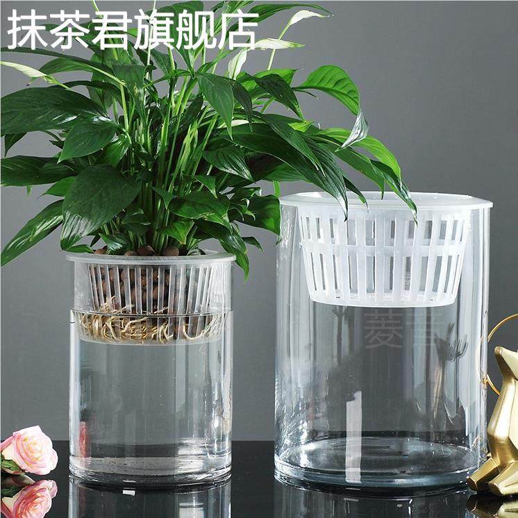 水培植物塑料瓶子透明直筒圆柱形花瓶简约绿萝花盆白掌水养缸容器