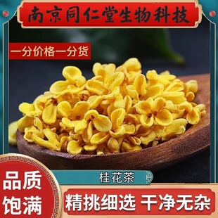 南京同仁堂生物科技桂花茶食用干金桂花茶泡水茶当季新货金桂花