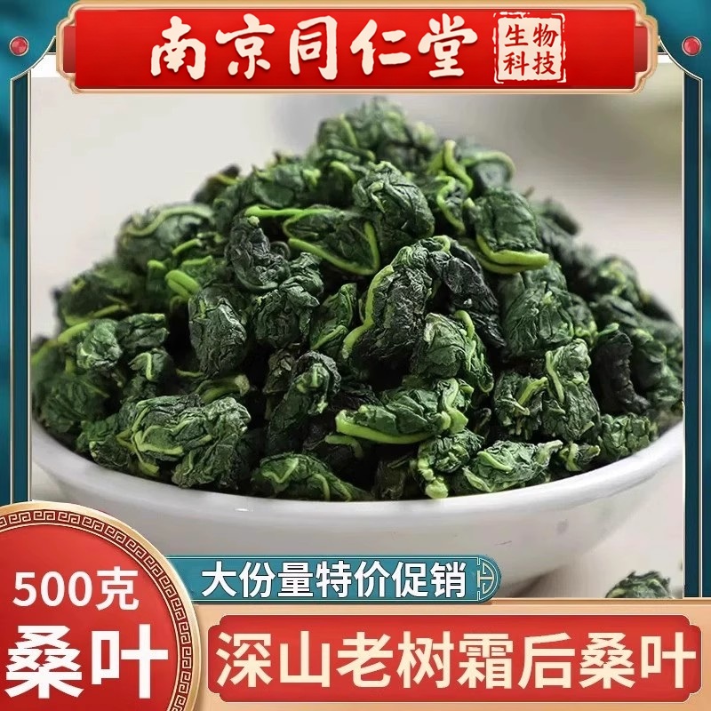 南京同仁堂新货霜后桑叶茶500g克