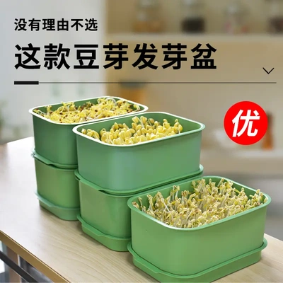 绿色无土栽培育苗盘发豆芽