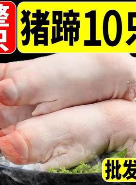 只现杀土猪蹄整只新鲜散养农家带筋猪蹄子猪手前蹄猪脚后蹄整箱