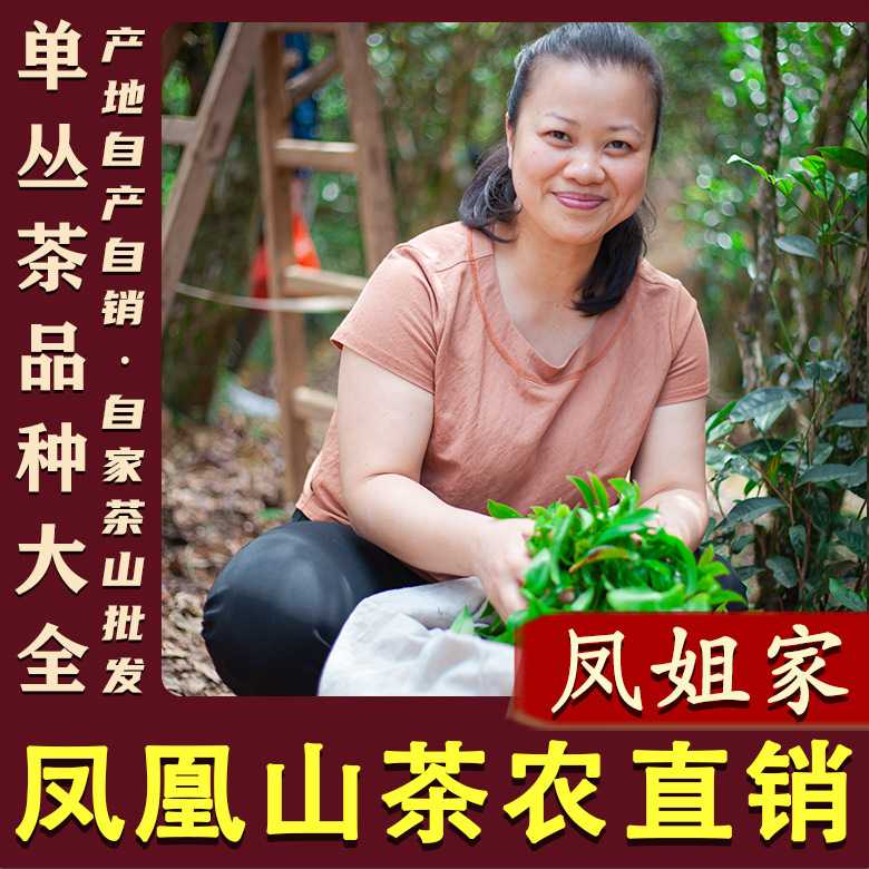 【凤姐家茶】百种香型 鸭屎香蜜兰香凤凰单丛 潮州单枞茶叶乌龙茶