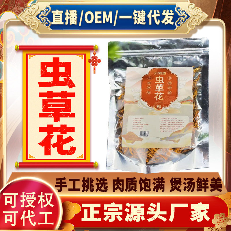 金虫草 虫草花袋装 北虫草 豹子头 食用菌 干货产地直销1000g