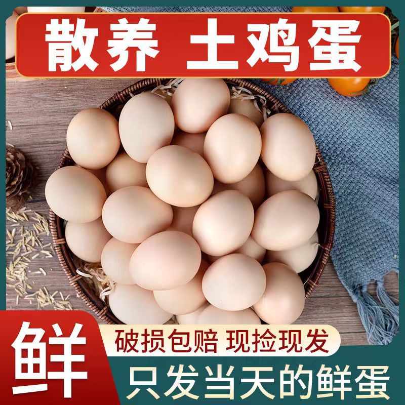 农家土鸡蛋包邮山林散养新鲜柴蛋无腥草鸡蛋整箱包邮商超鸡蛋