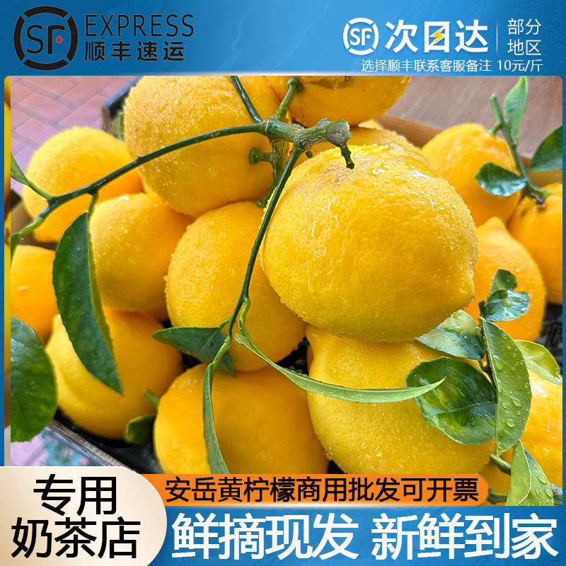 安岳1级黄柠檬9斤商用批发整箱