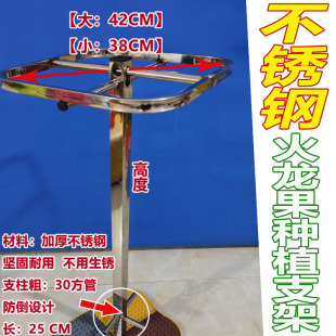 火龙果支架种植专用不锈钢支撑架花架火龙果盆栽地栽支架坚实耐用