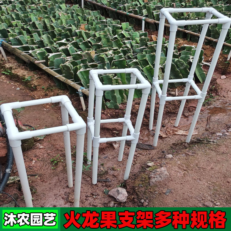火龙果支架百香果专用支撑架火龙果盆栽专用支架固定架简易耐用,鲜花速递/花卉仿真/绿植园艺,花架,淘宝优惠券,粉丝福利购,淘宝优惠卷