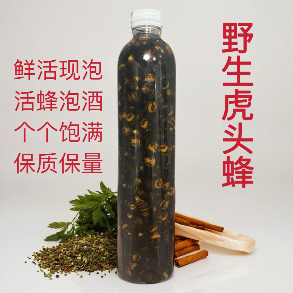 鲜活野生虎头蜂泡酒活蜂金环黑尾黄蜂泡酒胡蜂地蜂大马蜂泡酒材料