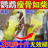 鹦鹉增肥粮玄凤牡丹虎皮幼鸟湿蛋粮开胃消食长膘营养膏增强免疫力