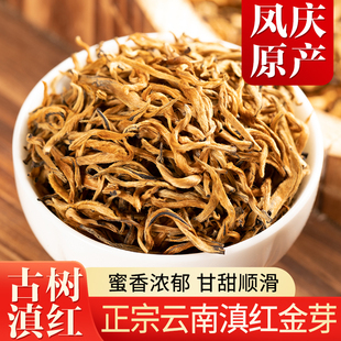 云南凤庆正宗古树滇红金芽特级蜜香浓香型红茶罐装茶叶