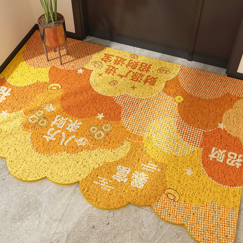 刮土蹭泥丝圈入户门地垫
