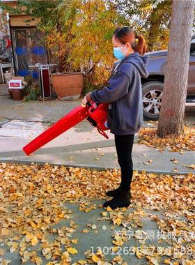 自XVG走汽推油雪机 灭四冲程马路吹叶式机 风力火机