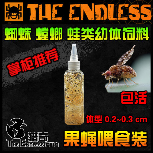 【TE猎奇】大小残翅果蝇喂食装 蜘蛛跳蛛 螳螂 蛙类 幼体宠物饲料