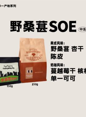 绝对小孩 野桑葚SOE肯尼亚日晒中浅意式手冲美式奶咖咖啡豆