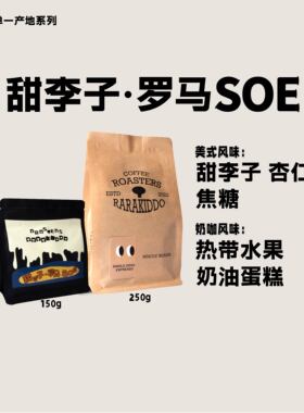 【甜李子·罗马SOE】绝对小孩 哥斯达黎加黑蜜意式手冲咖啡豆
