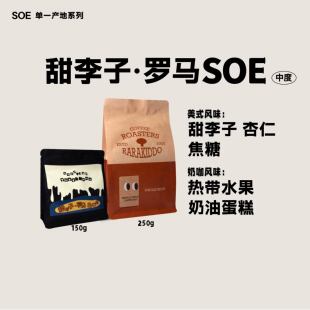 绝对小孩 甜李子·罗马SOE哥斯达黎加黑蜜意式手冲咖啡豆