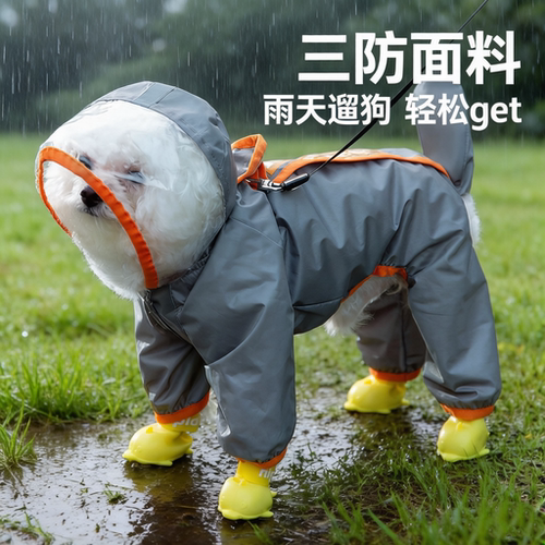 专治雨天遛狗难题草地打滚也不怕