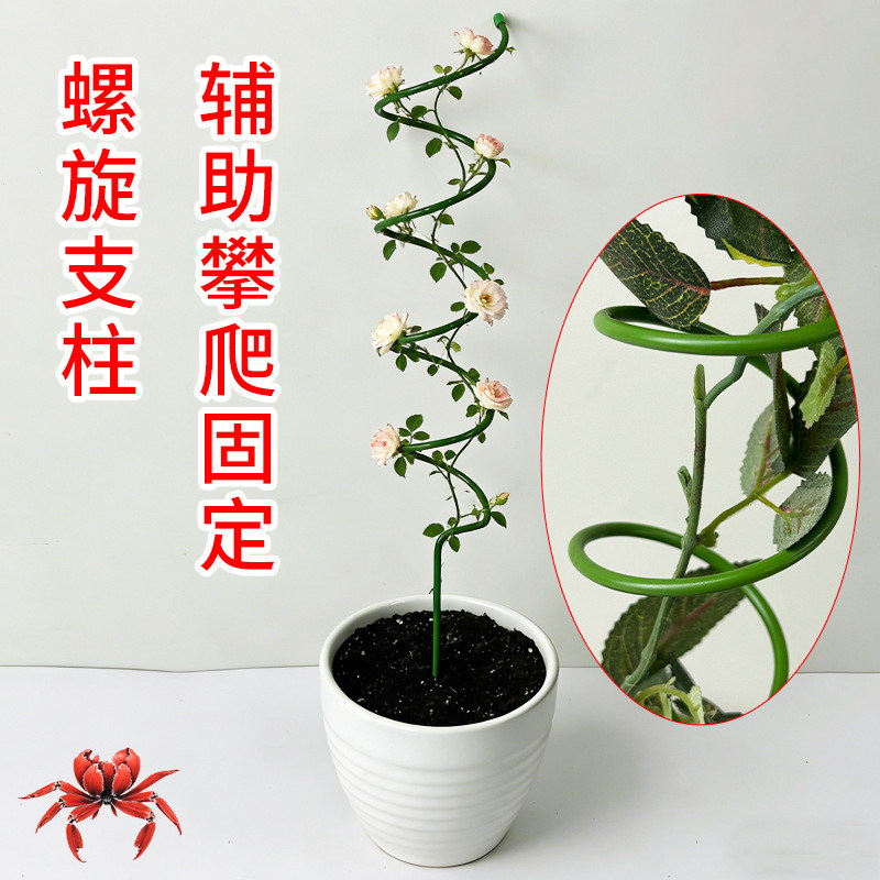 创意免安装包塑螺旋爬藤支架