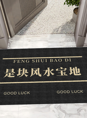 风水宝地入户门地垫黑色防滑门垫家用地毯高档室外门口专用地垫