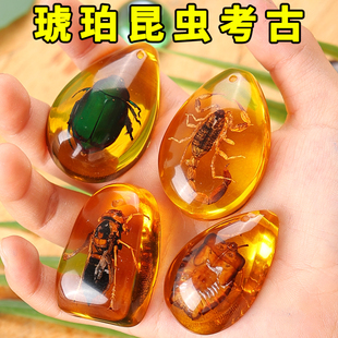 考古挖掘玩具琥珀昆虫标本挖宝石盲盒寻宝恐龙化石夜光男孩挖宝藏