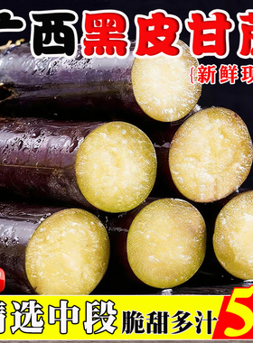 广西黑皮甘蔗新鲜水果当季现砍杆蔗5斤孕妇果蔗榨汁脆甜多汁高甜