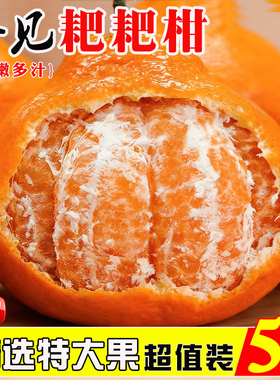 四川春见耙耙柑新鲜水果3/5/9斤当季整箱桔子现摘砂糖丑八怪橘子