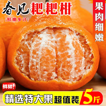 四川春见耙耙柑新鲜水果3/5/9斤当季整箱桔子现摘砂糖丑八怪橘子