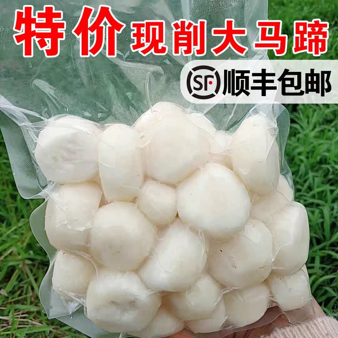 『去皮马蹄』新鲜荸荠大果现削
