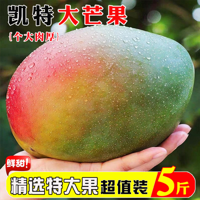 『官方推荐』攀枝花凯特芒正宗9