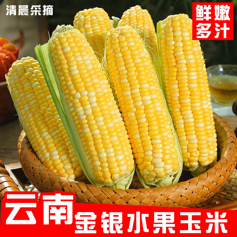 云南水果玉米新鲜金银甜玉米粗粮蔬菜生吃脆甜多汁带壳嫩玉米棒子,水产肉类/新鲜蔬果/熟食,新鲜玉米,淘宝优惠券,粉丝福利购,淘宝优惠卷