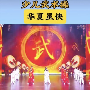 少儿武术操中国功夫精忠报国我们都有一个家演出服六一表演衣服装