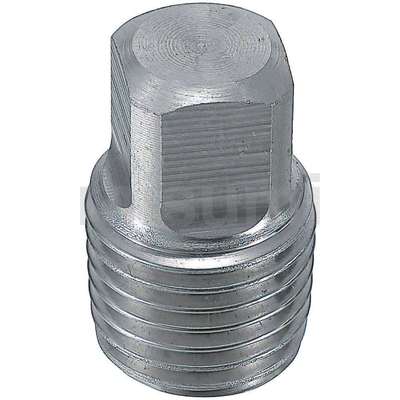 SGPPP/SUPPP6A/8A/10A/15A/20A/25A/32A/40A/50A 不锈钢外丝堵头