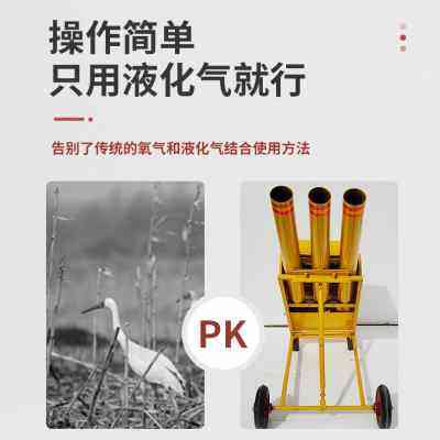 新型电子礼炮驱鸟炮婚礼节日婚庆炮便携白事遥控炮新品环保煤气炮