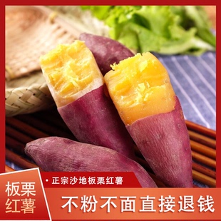 陕西沙地板栗薯黄心红薯新鲜直发非桥头地瓜软糯香甜整箱包邮批发