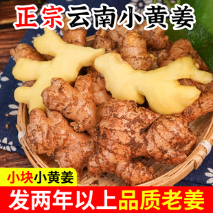 正宗云南小黄姜5斤新鲜小块生姜现挖高山老黄姜农家自种月子