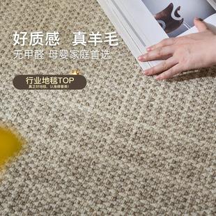进口纯羊毛地毯轻奢高级感客厅卧室现代简约纯色茶几毯地垫侘寂