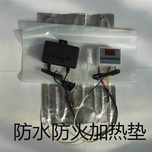 水床孵化器配件泡沫箱小型孵化箱鸡鸭孵化机自动控温芦丁鸡桂花雀