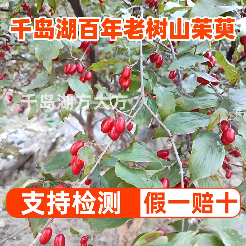 千岛湖深山野生山茱萸500g新货正品无熏硫山茱萸肉干无核泡茶水喝