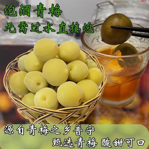 青梅泡酒专用现摘新鲜果腌制半成品蜜饯网红款开胃便捷方便简单果干家庭果酒爽口精选轻加工解馋冰糖泡制解腻无需处理省事小零食