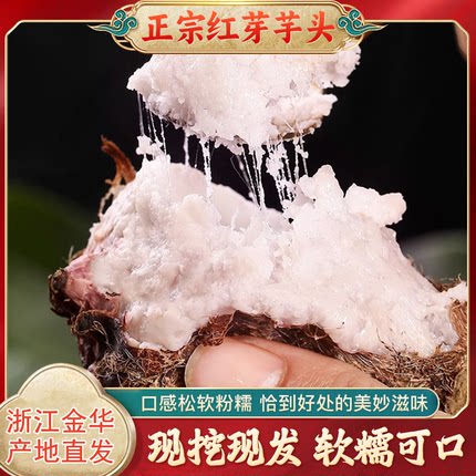 金华红芽芋头新鲜小芋头非广西荔浦芋头旗舰店粉糯毛芋艿香芋种子