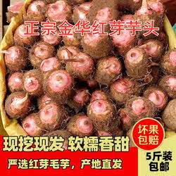 浙江金华红芽芋头现挖粉糯毛芋艿香芋子非广西荔浦新鲜小芋头蔬菜