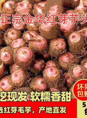 浙江金华红芽芋头现挖粉糯毛芋艿香芋子非广西荔浦新鲜小芋头蔬菜