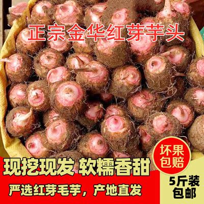 浙江金华红芽芋头现挖粉糯毛芋艿香芋子非广西荔浦新鲜小芋头蔬菜