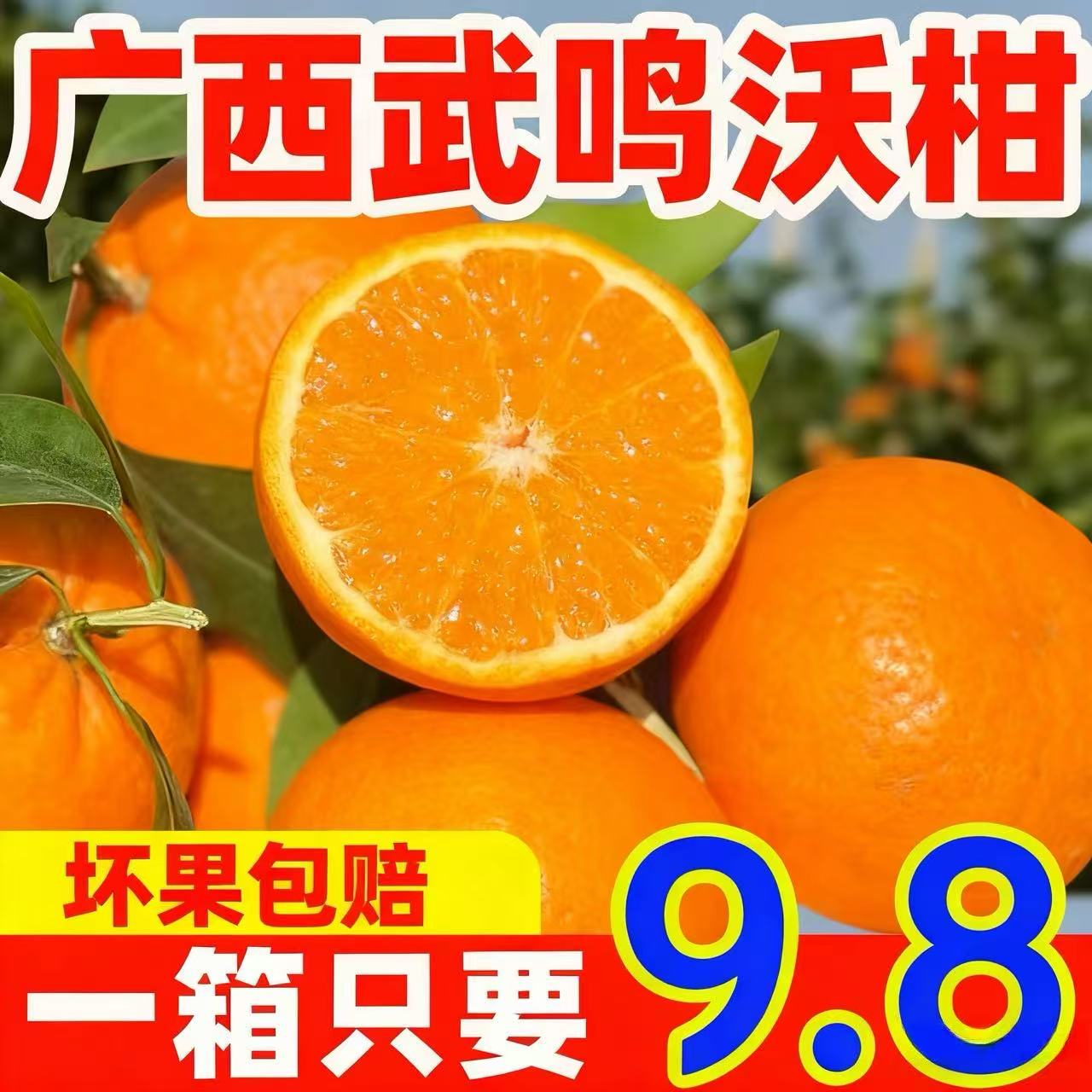 正宗广西武鸣沃柑新鲜水果当季整箱时令沙糖蜜橘砂糖柑橘桔子橘