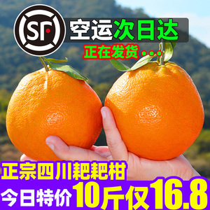 10斤正宗眉山春见耙耙柑四川粑粑柑橘子新鲜水果孕妇当季整箱包邮